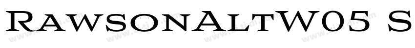 RawsonAltW05 SemiBo字体转换